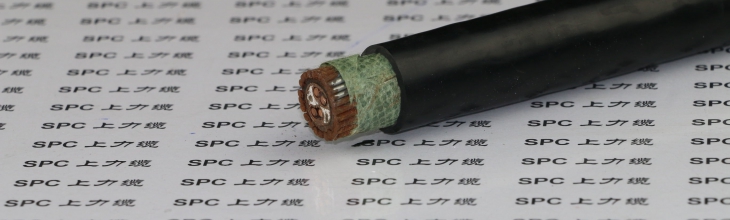 PVVP22聚氯乙烯絕緣聚氯乙烯護(hù)套編織屏蔽鋼帶鎧裝信號電纜  PVVP22信號電纜