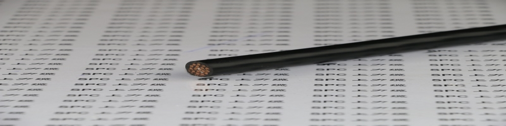 ?DJVPVR聚氯乙烯絕緣編織組屏蔽 計算機軟電纜