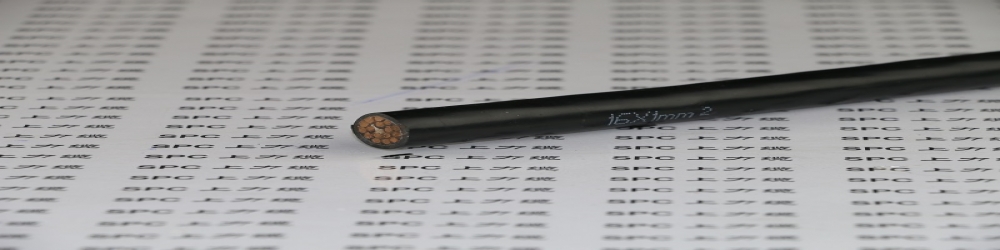 ?DJGPGP2硅橡膠絕緣編織組屏蔽銅帶繞包總屏蔽硅橡膠護(hù)套計(jì)算機(jī)電纜  ZR-DJGPGP2計(jì)算機(jī)阻燃屏蔽電纜