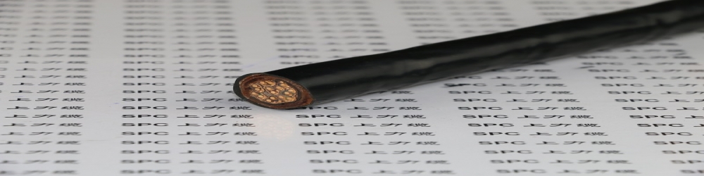 ?BPYJPVRP32交聯聚乙烯絕緣聚氯乙烯護套銅絲編織分屏蔽及總屏蔽鋼絲鎧裝變頻電纜  SPCFC-PVC-2YCCBY變頻專用電纜